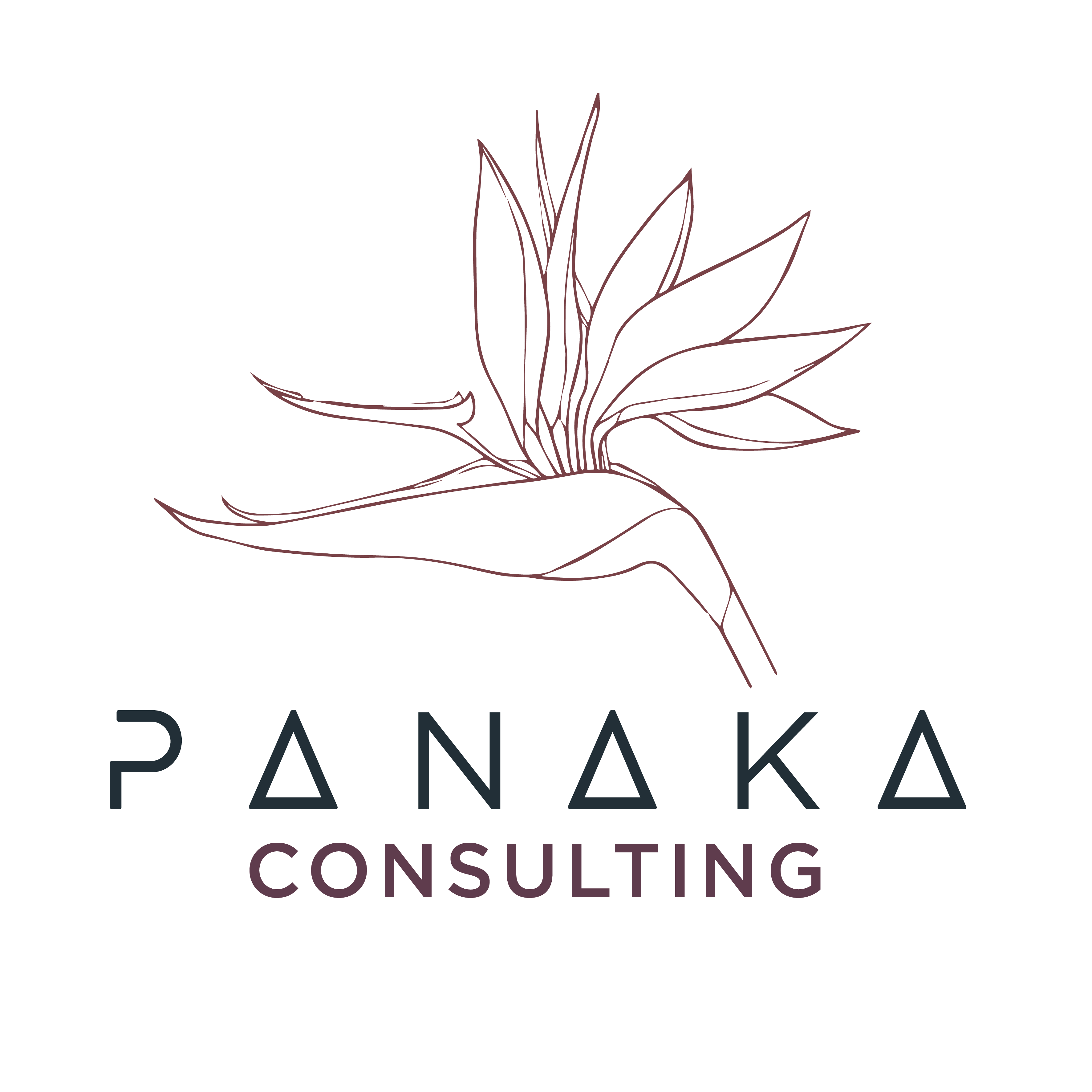 Panaka Consulting